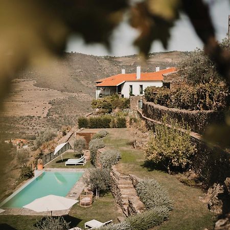 Quinta Da Gricha Hotel Ervedosa do Douro Екстериор снимка
