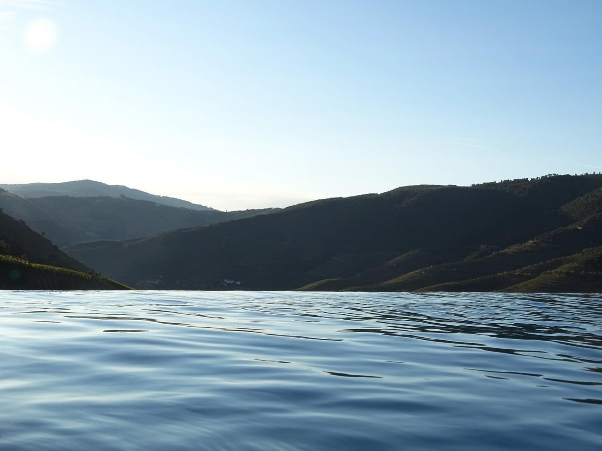 Quinta Da Gricha Hotel Ervedosa do Douro Екстериор снимка